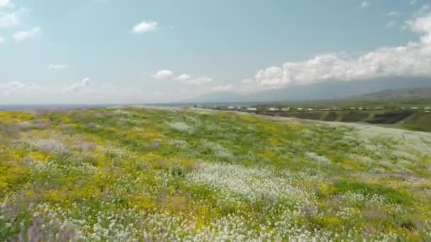 Μια πτήση αέρα με υψηλή ταχύτητα πάνω από ένα πεδίο με πράσινο γρασίδι και πολύχρωμα λουλούδια και στη συνέχεια μια μικρή πόλη που εμφανίζεται στο πλαίσιο στέκεται στην άκρη ενός γκρεμού δίπλα σε ένα ποτάμι. Πολύ γραφικό τοπίο — Αρχείο Βίντεο