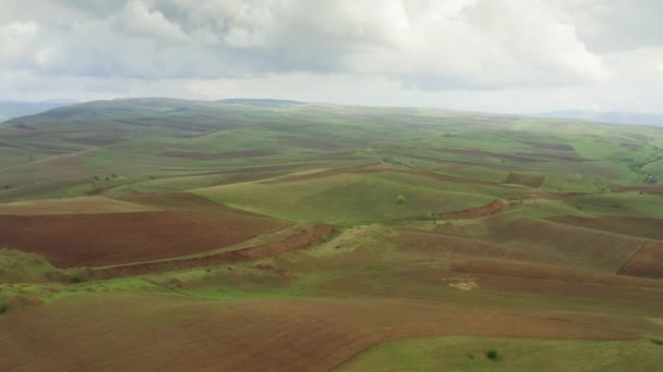 Un hermoso paisaje aéreo sobre campos con hierba verde y campos arados marrones con tierra, sobre el fondo del cielo con grandes nubes, un paisaje agrícola y pequeños animales. Drone.. — Vídeos de Stock
