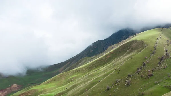 An airy landscape with green mountains, gray stones lie on them and small trees grow against the background of a giant cloud. An idyllic landscape, a drone flies into a cloud and loses its orientation. High quality photo