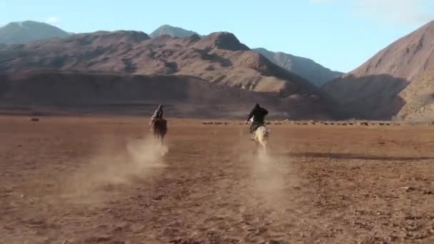 Dois cavaleiros galopam em cavalos através do campo, deixando nuvens de poeira contra o fundo de um vale com e um céu azul Cowboys em roupas quentes montam cavalos contra o fundo da neve — Vídeo de Stock