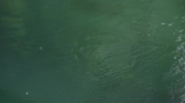 Düşen yağmur damlalarından daireler çizerek yeşil suyun düz yüzeyinin üst görüntüsü. Yağmurlu bir günde gökyüzünün yansımalarıyla birlikte suyun dokusu. Tropikal yağmur damlaları yavaş yavaş gölete düşer.