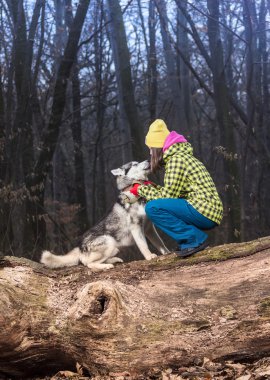 Kız onu husky köpek sahip