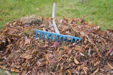 Bahçedeki temizlik işleri