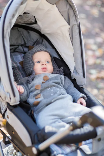 Baby in zittende wandelwagen op de natuur — Stockfoto