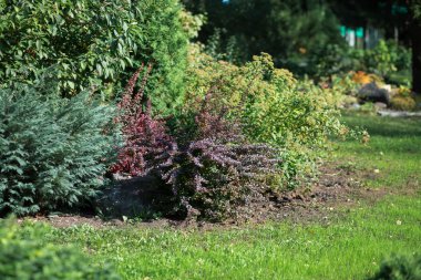 Botanik Bahçesi Güz