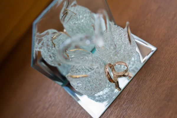 Close-up of a jewelry box with white gold rings — Stock Photo, Image