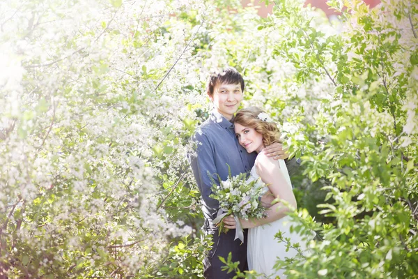 Liefde paar staande onder bloeiende appelboom — Stockfoto