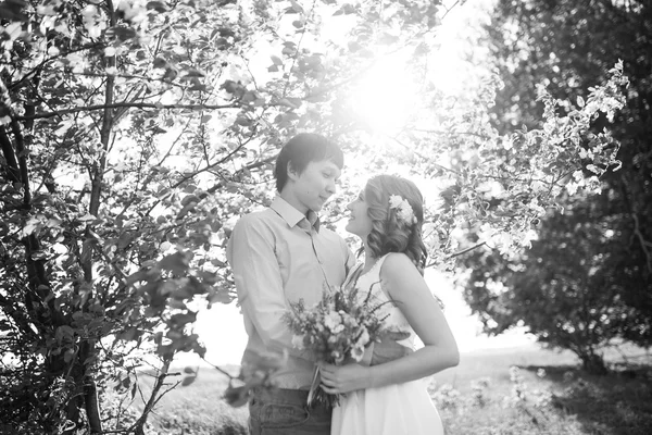 Amore coppia in piedi tra albero di mele in fiore — Foto Stock