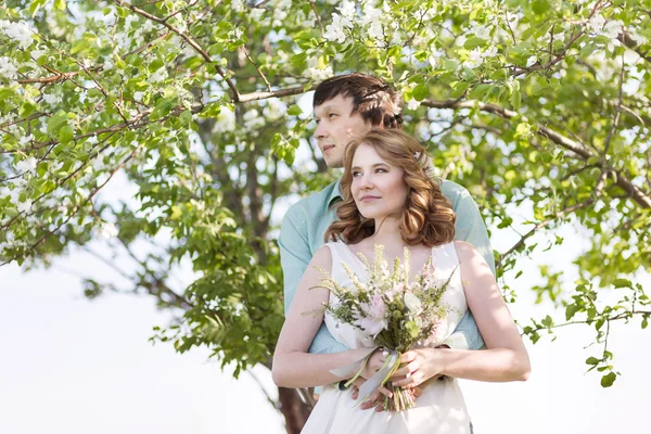 Älskar par stående bland blommande äppelträd — Stockfoto