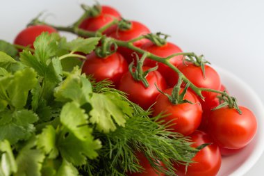 Sebze - domates, yay, biber