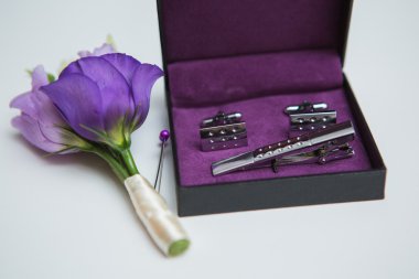 Mavi renklerde Düğün aksesuarları