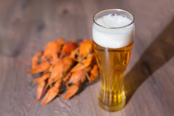 Cancers to beer, dill, boiled crawfish, beer snack — Stock Image Cancers to beer, dill, boiled crawfish, beer snack Royalty Free Stock Images