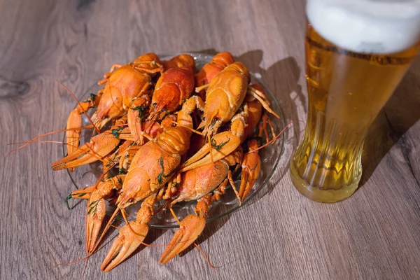Cancers to beer, dill, boiled crawfish, beer snack — Stock Image Cancers to beer, dill, boiled crawfish, beer snack Stock Photo