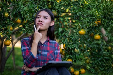 Ekose gömlek giyen Asyalı kadın mandalina bahçesinde oturmuş tabletli pazarlama planını düşünüyor. Akıllı kız mandalina bahçesi konsepti. 