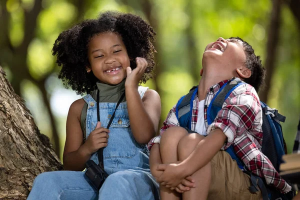 African American ethnicity boy and girl children sitting on big tree talking happily in the park, travelling adventure summer holiday concept