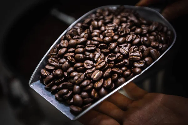 Bruna Kaffebönor 100 Till Hands — Stockfoto