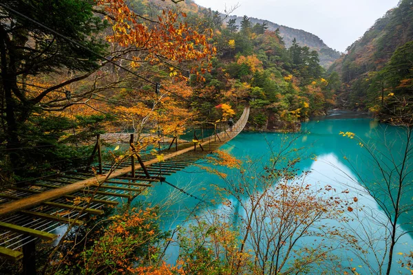Yume Tsuribashi Подвесный Мост Изумрудной Реке Осенний Сезон Sumatakyou Изменение — стоковое фото
