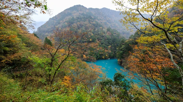 Красивый Природный Ландшафт Изумрудной Реки Середине Долины Осенний Сезон Японии — стоковое фото