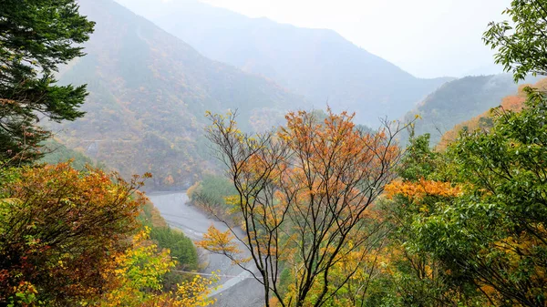 秋天里 日本的风景与溪流和小木桥相映成趣 高山覆盖着白色的背景 — 图库照片