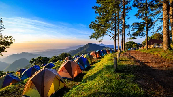 Utsikt Över Morgondimma Och Soluppgång Vid Doi Ang Khang Berg — Stockfoto