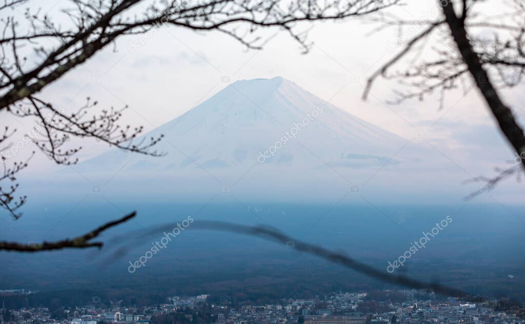 close-up peak fuji mountain and trees flame evening time location chureito pagoda fujiyoshida yamanashi japan