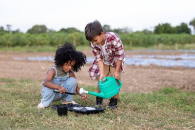 Amerikalı Afrikalı çocuklar, tarımda yetiştirilen sebzelere tohum ekmek için kabın içine koydukları toprağı nemli olarak suluyorlar. Çocuklar yaz konseptinde sebze yetiştirme oyunu oynuyorlar. 
