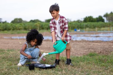 Amerikalı Afrikalı çocuklar, tarımda yetiştirilen sebzelere tohum ekmek için kabın içine koydukları toprağı nemli olarak suluyorlar. Çocuklar yaz konseptinde sebze yetiştirme oyunu oynuyorlar. 