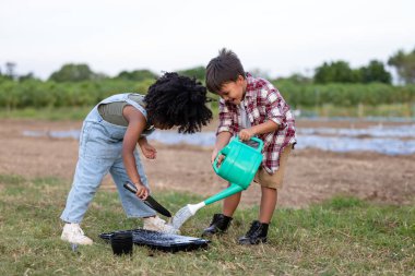 Amerikalı Afrikalı çocuklar, tarımda yetiştirilen sebzelere tohum ekmek için kabın içine koydukları toprağı nemli olarak suluyorlar. Çocuklar yaz konseptinde sebze yetiştirme oyunu oynuyorlar. 