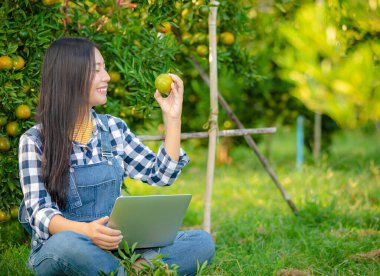 Genç çiftçi kadın Asyalı kız tarımsal alandaki Chiang Rai Tayland 'da dizüstü bilgisayarda turuncu ve kontrol ediyor.