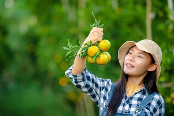 young farmer women asian girl and holding orange on hands in farm agriculture area chiang rai Thailand spot focus camera