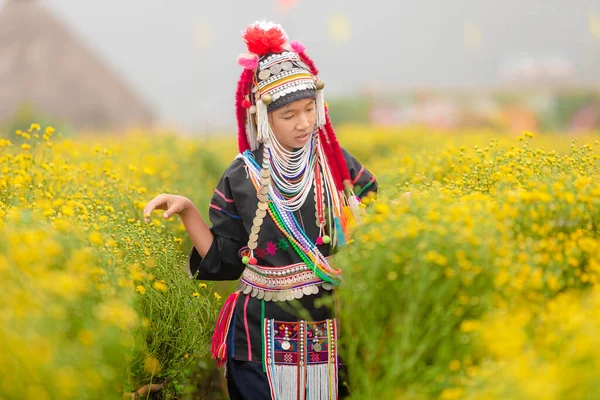 Junges Karen Mädchen Überprüft Chrysanthemenblüten Morgen Winter Auf Einem Landwirtschaftlichen — Stockfoto