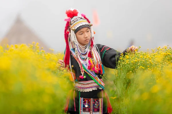 Unga Karen Flicka Kontroll Krysantemum Blommor Morgonen Tid Vintern Jordbruket — Stockfoto