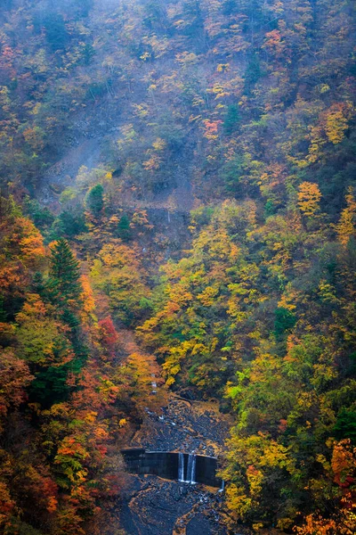 Arrière Plan Abstrait Paysage Naturel Automne Petite Cascade Dans Parc — Photo