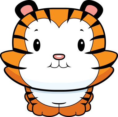 Bebek kaplan yavrusu