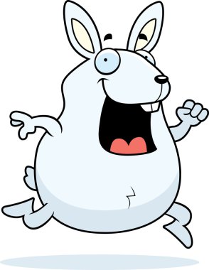 tavşan çalıştıran