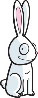 Gülümseyen tavşan