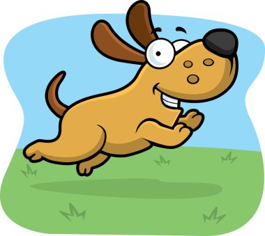 Köpek Sıçrama