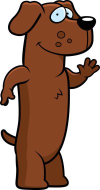 Dachshund Sallayarak