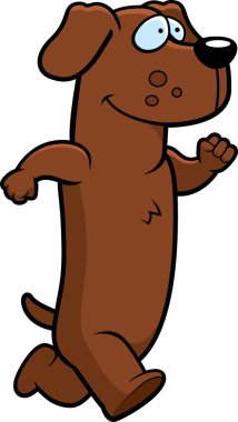 dachshund çalışan