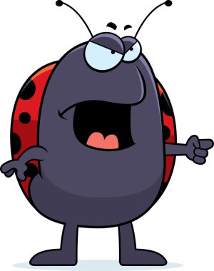 kızgın uğur böceği