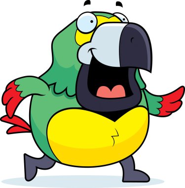 Yürüyüş papağan