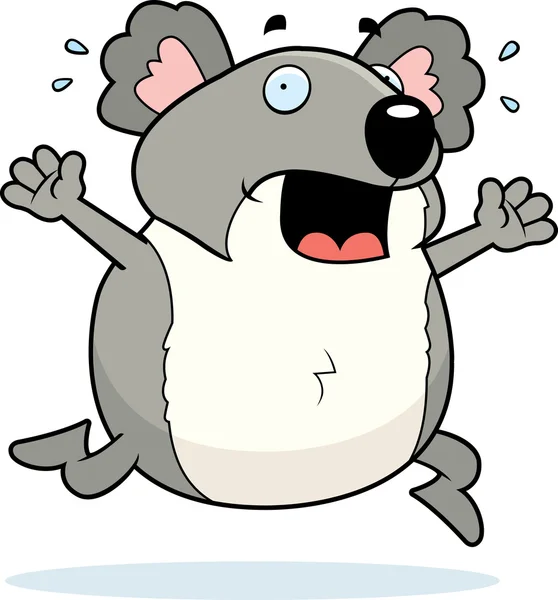 Koala Panique — Image vectorielle