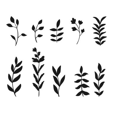 Bitki çizimleri, siluetler.