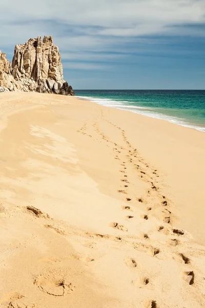 Stranden Cabo San Lucas, Mexiko — Gratis stockfoto