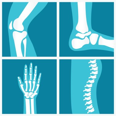 Set of human joints. clipart