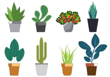 Various types of potted plants isolated on white background, perfect for use in design projects related to nature, interior decoration, or eco-friendly lifestyles.vector illustration.