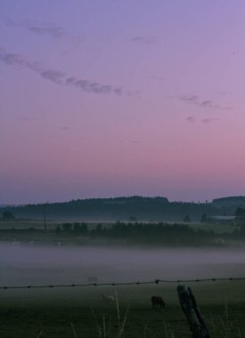 Gün doğumunda sisle yutulan bir tarla.
