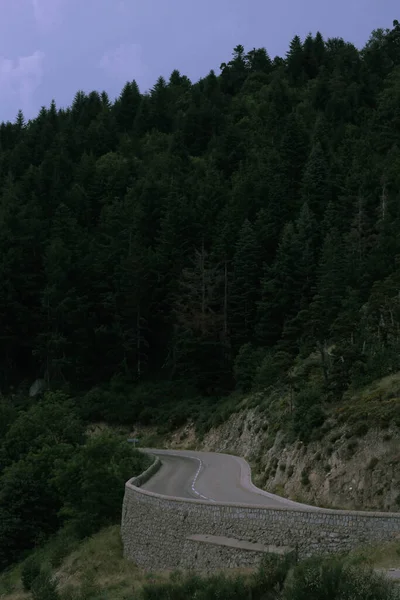 Ormana giden bir yol.