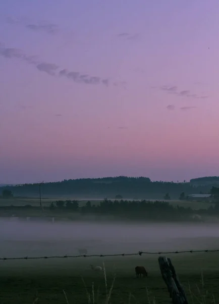 Gün doğumunda sisle yutulan bir tarla.