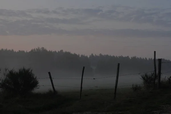 Pola Pochłonięte Przez Mgłę — Zdjęcie stockowe